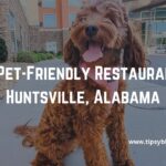 Best Pet-Friendly Restaurants in Huntsville, Alabama