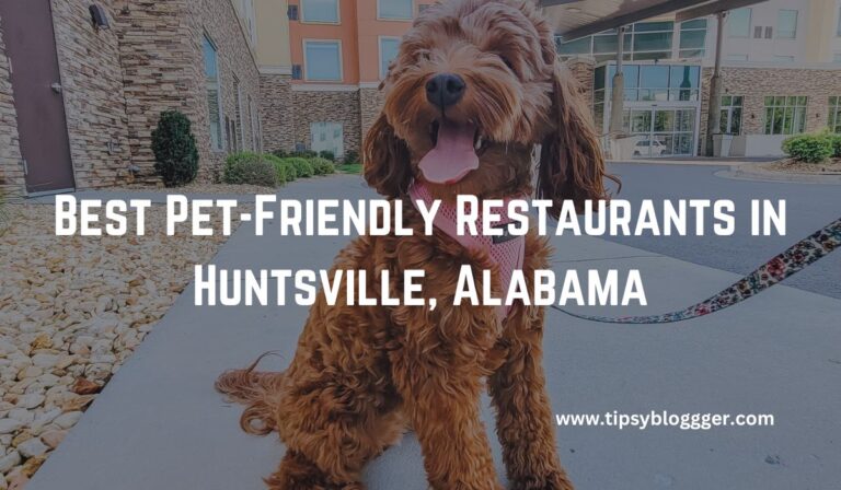 10 Best Pet-Friendly Restaurants in Huntsville, Alabama in 2023